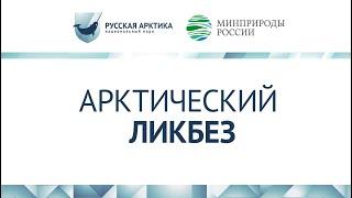 Экспедиция на Новую Землю: по следам владимира Русанова