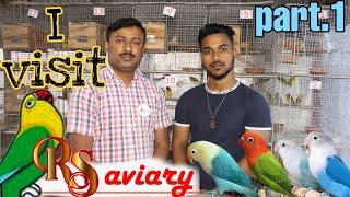 I VISIT RS AVIARY LOVEBIRDS BREEDER.