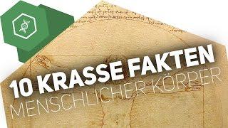 10 KRASSE FAKTEN über den menschlichen Körper