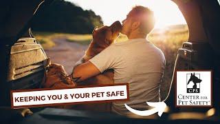 Center for Pet Safety (Keeping Your Pets and Families Safe)