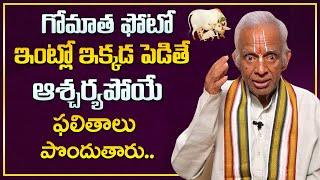 గోమాత ఫోటో ఇంట్లో ఇక్కడ పెడితే ఆశ్చర్యపోయే ఫలితాలు : TKV Raghavan | Dharma Sandehalu | Sumantv