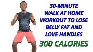 30 Minute Walking Workout to Lose Belly Fat and Love Handles  Burns 300 Calories 3500 Steps