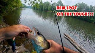 Not all spots are created equal, but this is a good one!!! | Smallmouth | Walleye |