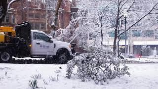 The Snow of UPenn, Philadelphia