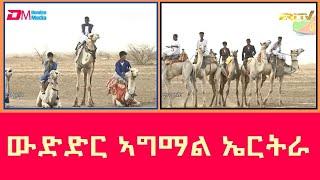 ውድድር ኣግማል ኤርትራ | Camel race in Eritrea - ERi-TV