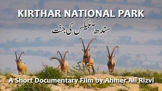 Kirthar National Park  |  سندھ آئبیکس کی جنًت