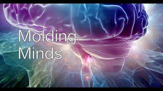 Molding Minds: Discover the Power of Brain Plasticity and Hemispheric Specializations