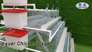 Steel Wire Layer Chicken Cage 3 Tiers 1000 Birds For Individual Farm