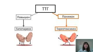 Заболевания щитовидной железы лекция