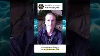 Adam Apollo's Quantum Journey & Uncovering The Truth #shorts