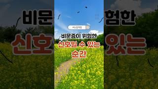 비문증이 위험한 신호일 수 있는 순간 #비문증 #중년눈건강 #눈앞에점#망막이상