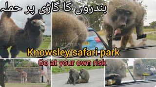 Knowsley safari park|| funny vlog|| Uk vlogs