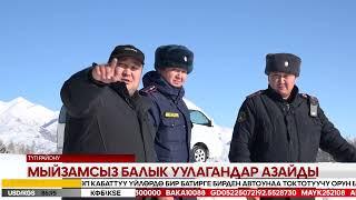 Ысык-Көл жаңылыктары 16.12.2024