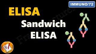 Sandwich ELISA  (FL-Immuno/72)