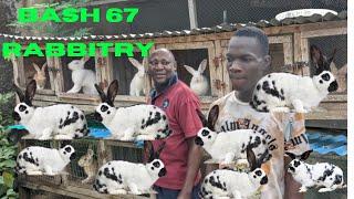 Make millions from rabbit farming business