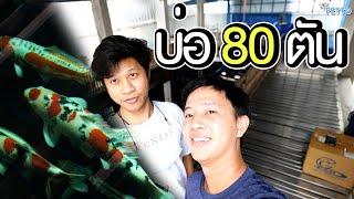 เยี่ยมตันโจโชว่า ในบ่อ 80 ตัน | The PETTO EP.133