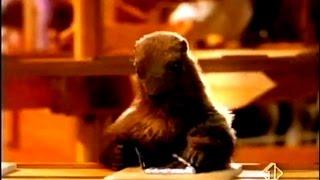 Spot - MILKA "e poi c'era la MARMOTTA che confezionava la CIOCCOLATA" - 1999