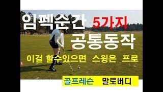 골프레슨 골프스윙 임펙트순간5가지공통동작-말로버디