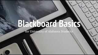 Blackboard Basics for Students