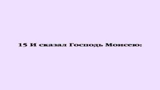 Видеобиблия. Исход. Глава 14