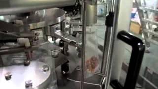 Rotary Pouch filler