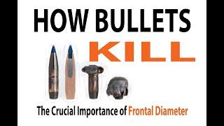 HOW BULLETS KILL: Why Small Bullets DON'T Kill as Well