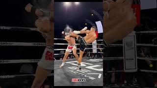 Feint + Round kick  #kickboxing #muaythai #mma