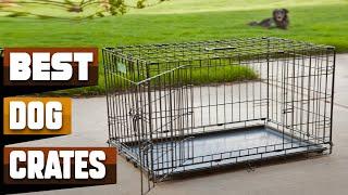 Best Dog Crate In 2025 - Top 10 Dog Crates Review