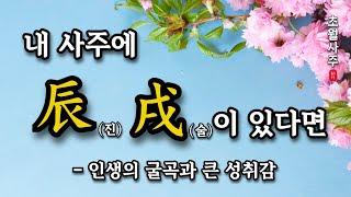 [사주운세] 내 사주에 진(辰), 술(戌)이 있다면?!