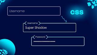 CSS Input Field Text Animation @El_ Shadow Academy | CSS HTML