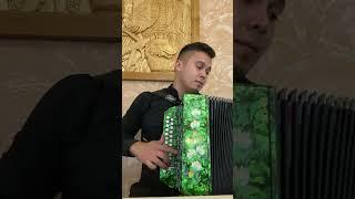 Ильмир Гарипов  татарские плясовые 🪗 татар бию #топбаянист #гармонист #тальянист#зажигает