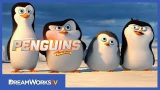 [Official] First Four and a Half Minutes | PENGUINS OF MADAGASCAR