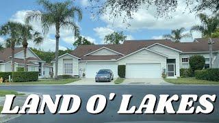 LAND O LAKES FLORIDA 2021| A TAMPA SUBURB TOUR