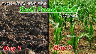 How fast can Soil Food Web Remediation Work? with Dr Elaine Ingham