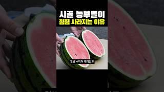 한국 농부들이 사라지는 이유