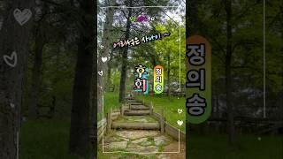 정의송 후회