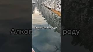 Алкоголики в роду