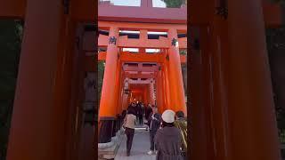 #稻荷神社 #love #萌萌園長 #travel #鳥居 #大阪府 #大阪