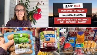 Наши Планы на Неделю | Продуктовая Закупка  Цены на Продукты в Магазинах ALDI - Sam's Club - Walmart