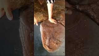 gold prospecting 2024, finding gold in sand, gold prospecting for beginners.