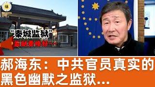 【郝海东】中共官员的灰色幽默，监狱要提高待遇，这些官员都可能会进去~丨一进中纪委全尿裤子丨有枪有弹的人才是权力核心