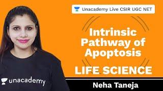 Intrinsic Pathway of Apoptosis  | Life Science | Unacademy Live CSIR UGC NET | Neha Taneja