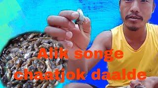 Alik songe chaatjok saalde