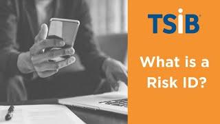 What is a Risk ID?