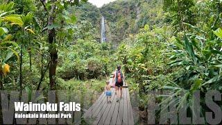 Best Hike in Maui Pipiwai Trail Waterfall Haleakala National Park