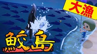 【あつ森】出現率0.5%の『サメ島』って知ってる？アプデで出現確率がさらに下がっているらしい!!【あつまれ どうぶつの森】【ぽんすけ】