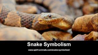 Snake Symbolism