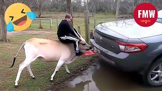 Funny & Hilarious People's Life  #214 - Try not to Laugh | Instant Regret Fails Compilation 2024