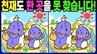 【다른그림찾기/치매예방】천재도 3개 중 한 곳은 못 찾습니다! 재밌고 건강한 두뇌 훈련 퀴즈! 【틀린그림찾기/두뇌운동/Find The Difference】1306