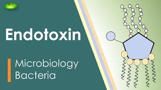 Lipopolysaccharides | LPS | Endotoxin | Bacterial toxin | Inflammation | Basic Science Series